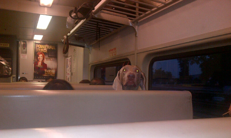 Funny Pics My Brother Sends Me