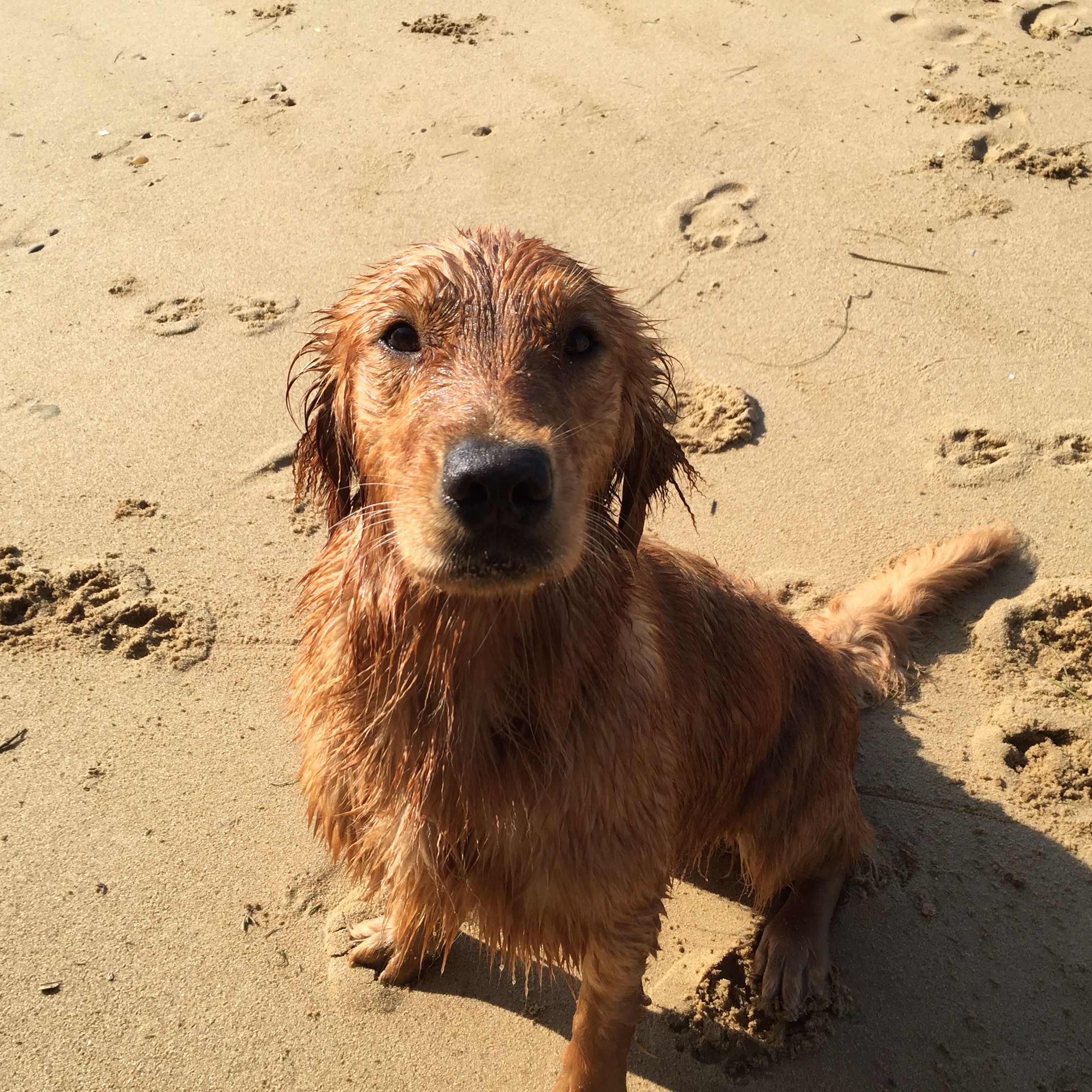 Jamie’s Wonderful Year